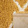 Acire Moroccan Area Rug