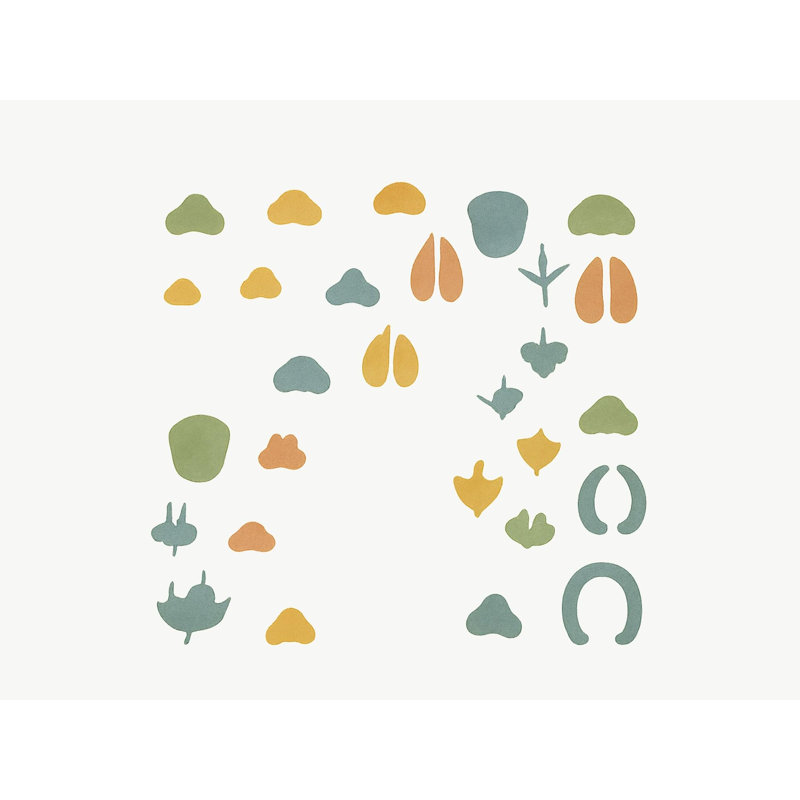 Animal Footprint Wall Decals, Set of 30 Peel and Stick Nursery Wall Stickers, Satin Finish Removable Kids Room Wall Art, 20"W x 20"H (50 x 50 cm)