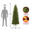 Épinette effilée North Valley Spruce-842866552