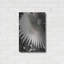 «Palm Frond 2» par Debra Van Swearingen-252947743