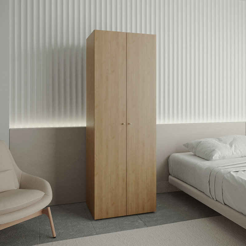Armoire 2 portes avec système de garde-robe, tringle à suspendre et tablette de rangement, armoire moderne pour l'organisation de la chambre à coucher