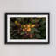 Karolis Janulis - Single Picture Frame Print-156570789