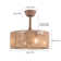 Beidleman 18" Ceiling Fan with Remote Control