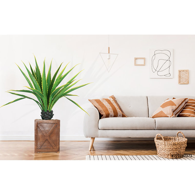 Agave Panama Real Touch en pot