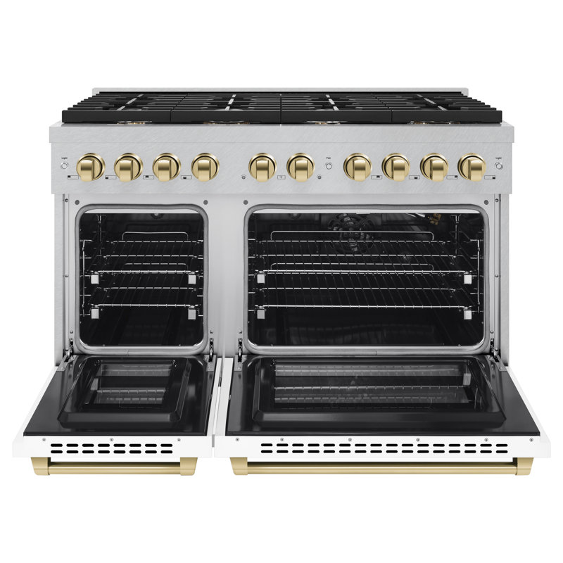 ZLINE Autograph 48 in. Paramount Satin Steel Gas Range w/ Doors & Accents, Polished Gold