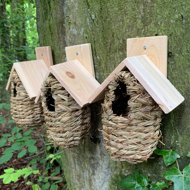 Seagrass Mounted Bird House