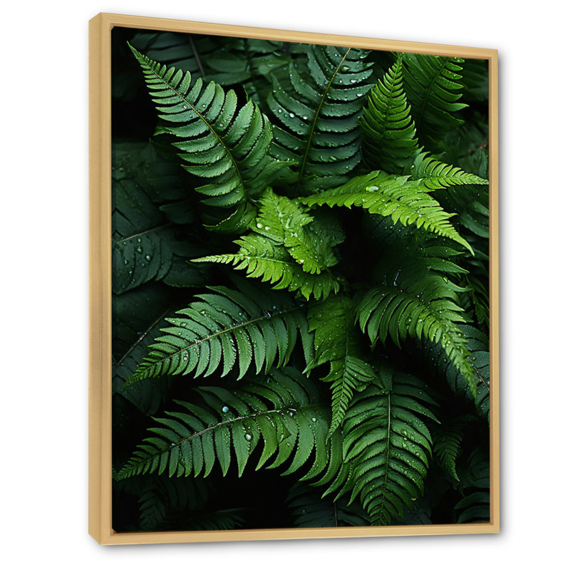 Delrico, fougères, plante, symphonie monochrome I, H 44 po x l 34 po x P 1,5 po, Cadre naturel flottant