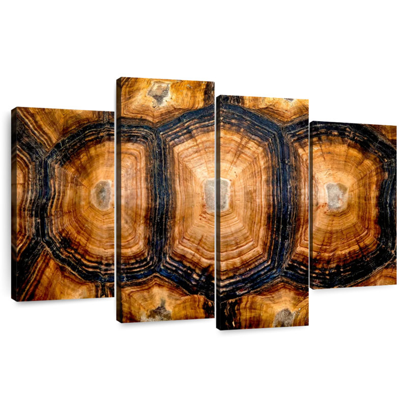 Brampt Turtle Carapace Texture, 48" H x 75" W