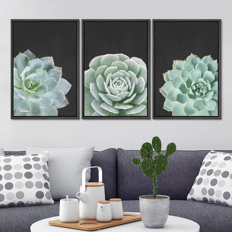 Green Desert Rose Cactus Succulents 3 pièces, Noir, H 36 po x l 24 po x P 1,5 po