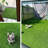 Artificial Grass Turf Roll 0.8in Pile Height Customized Sizes-123138415