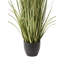 120cm Plant