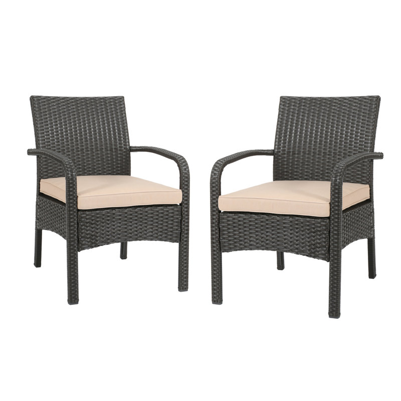 Modern Patio Furniture: Kd Chair In Brown Tan With Cushion Tropical Chair: Waterproof Material +