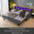 Duella Upholstered Daybed-765381581