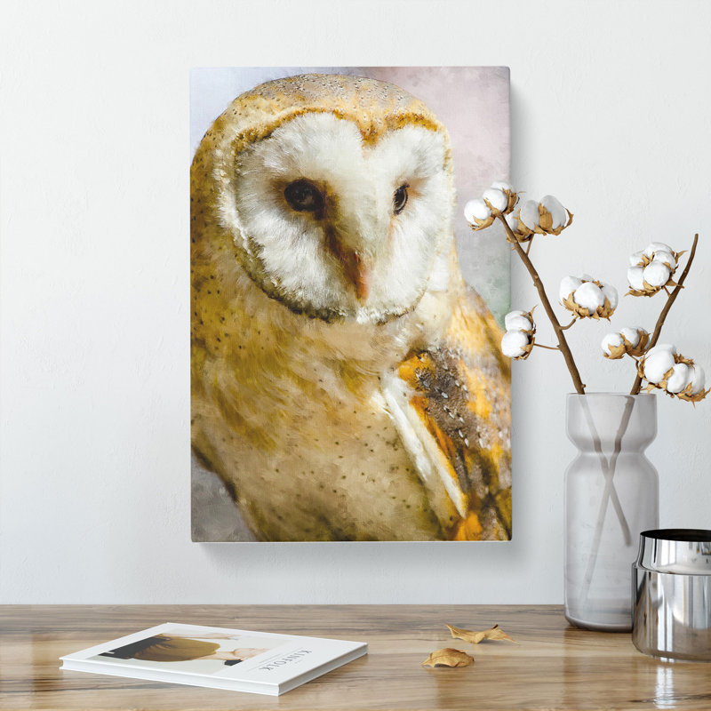 Barn Owl Vol.2 - Wrapped Canvas, 50cm H x 35cm W x 3cm D