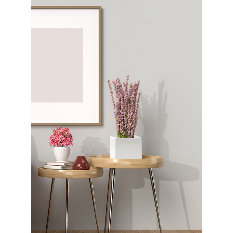 Veigar Ceramic Table Vase, White