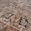 Caicey Oriental Area Rug-1479223651