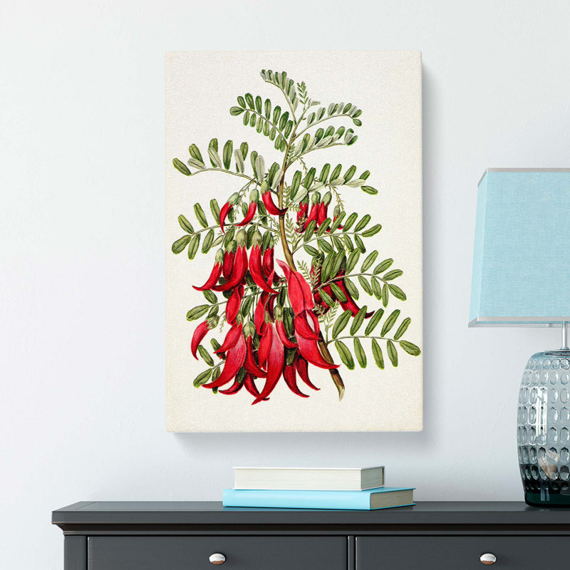 Clianthus Flowers by Sarah Featon - Wrapped Canvas Painting Print, 60cm H x 40cm W x 3cm D