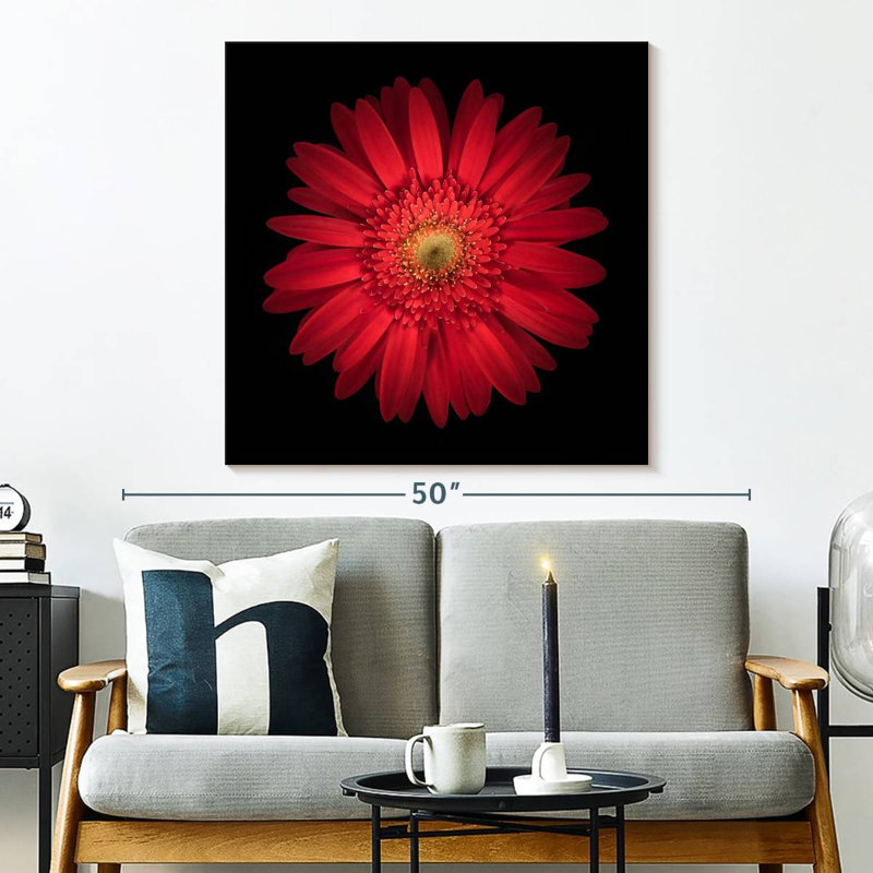 Harnek Bright Red Daisy