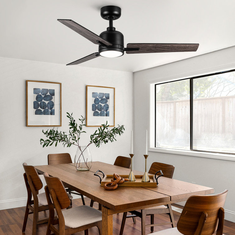 Modern 48" Ceiling Fan with Light and 3 Blades