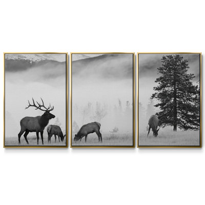 " Mountain Elk " 3 - Pieces