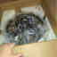 Customer photo 1 of 2