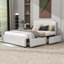 Dalston Queen Tufted Storage Platform Bed-1893636420