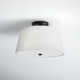 Caper 2 Light Flush Mount