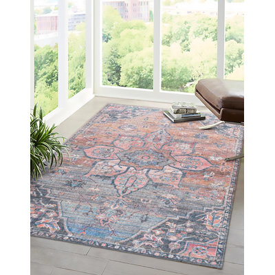 Gwin Chenille Oriental Indoor Rug