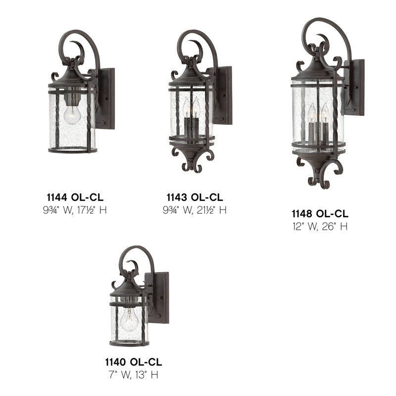 Casa 1-Light Outdoor Wall Lantern