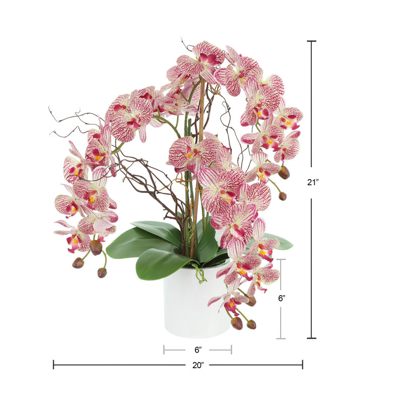 Modern Orchid Arrangement in Round Fiberstone Pot, Pink