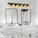 Taevion Dimmable Vanity Light