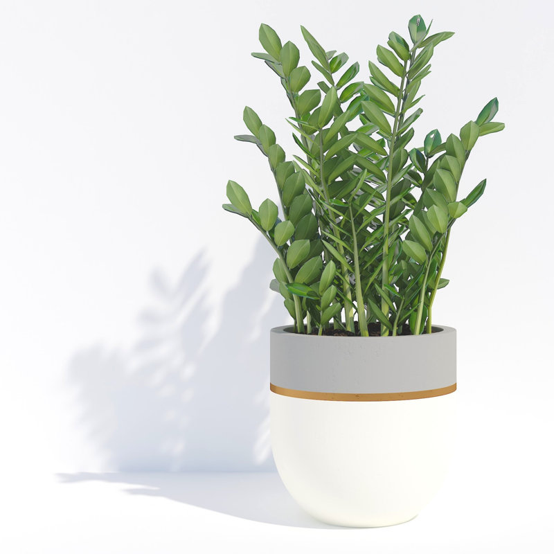 Jardinières en pot, 8", gris, 1