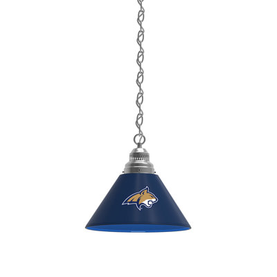 1 - Light Single Pendant