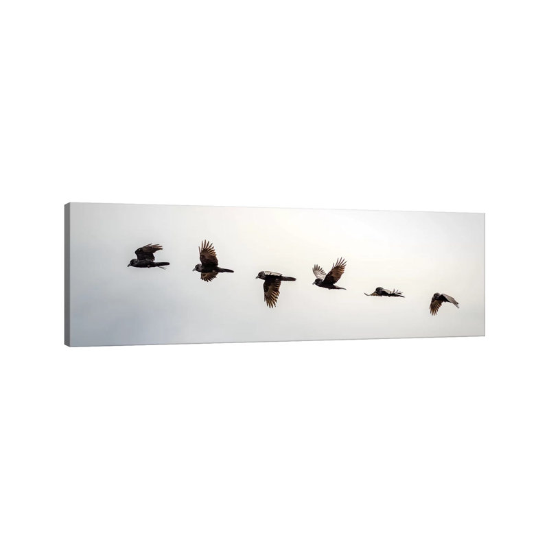 Equilibrium: Sequential Shoot Of A Flying Raven by Nik Rave - Wrapped Canvas Panoramic Print