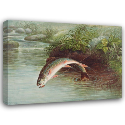 ArtDirect Kilbourne, Samuel Gallery Wrapped Canvas Art Titled: Leaping Brook Trout