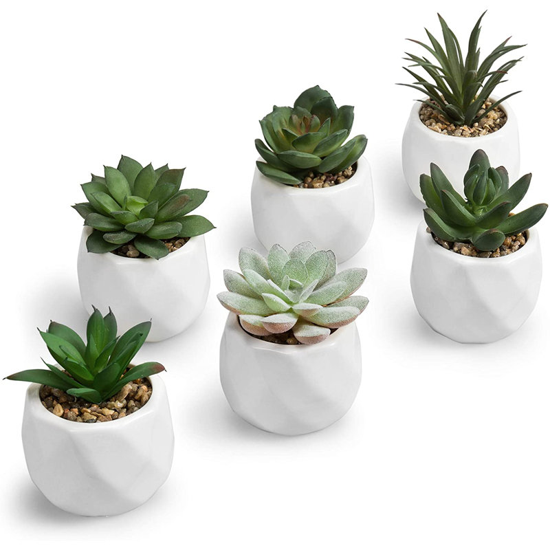 Jarema 4'' Faux Succulent Plant in Ceramic Pot