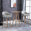 Upholstered Dining Chair