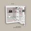 Armoire à pharmacie avec miroir à DEL de 20 po x 32 po Brayden Studio® Courtund-719076955-719076933