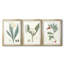 Soft Tropical IV - reproduction encadrée sur mesure de qualité supérieure mate - 3 pièces-331231814-331231865