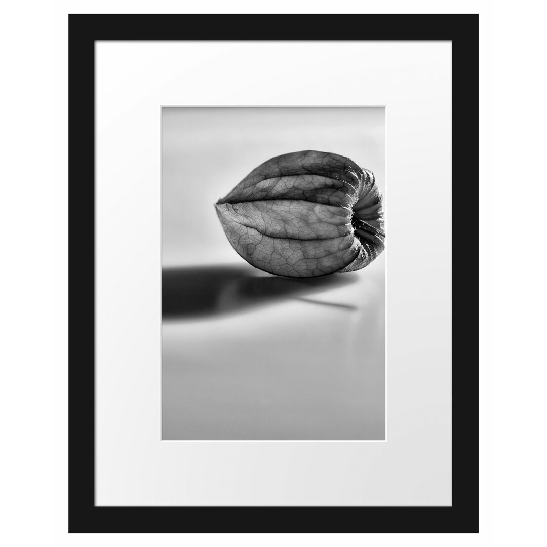 Kleine Physalis Gerahmter Fotodruck Poster