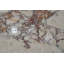 Table d'appoint Luxury-1017575678