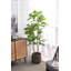 Petit pot de fleurs d'intérieur en ciment 12,6 po x 12,6 po x 11,8 po