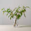 Burlington Vase, Large