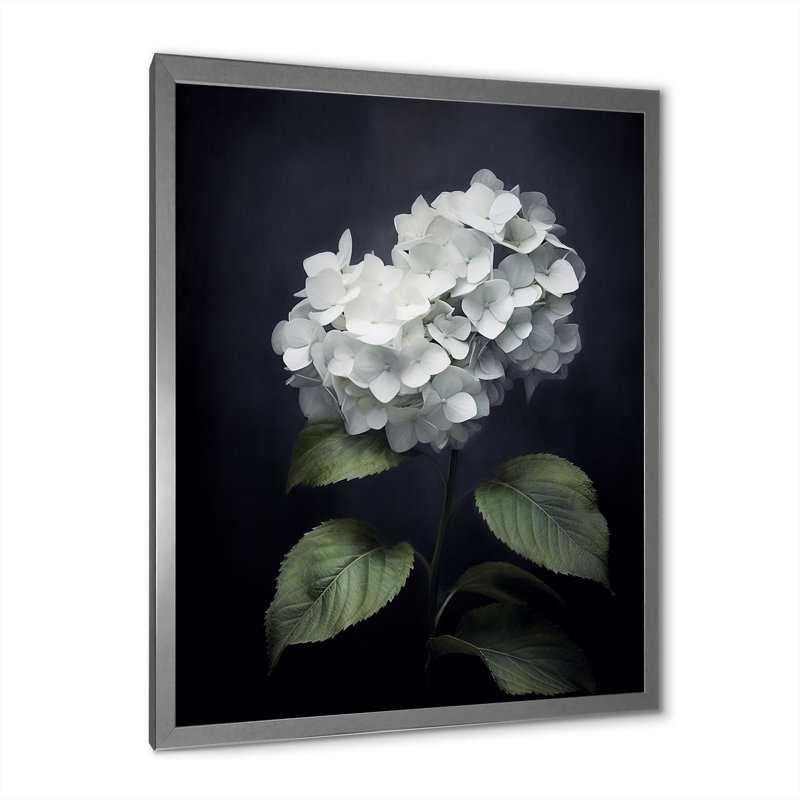 Fleurs d'hortensia noires et blanches sur toile, H 40 po x l 30 po x P 1 po, Cadre photo argenté