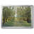 " Forest Path "-401022772-401022779