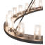 24 - Light Chandelier
