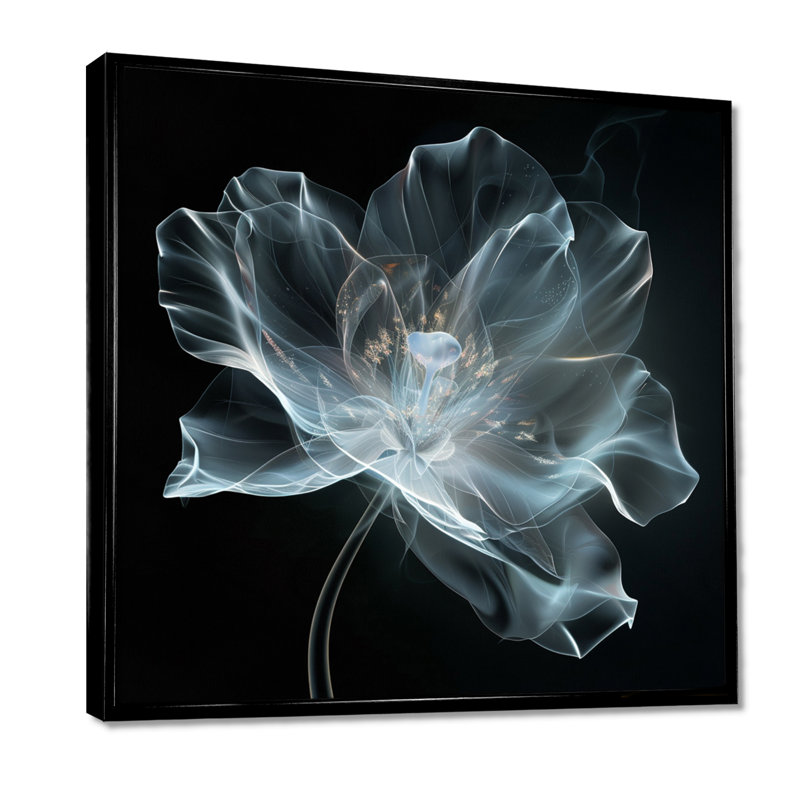 Anémone blanche transparente sur fond noir - autres plantes et fleurs, Toile avec cadre flottant noir