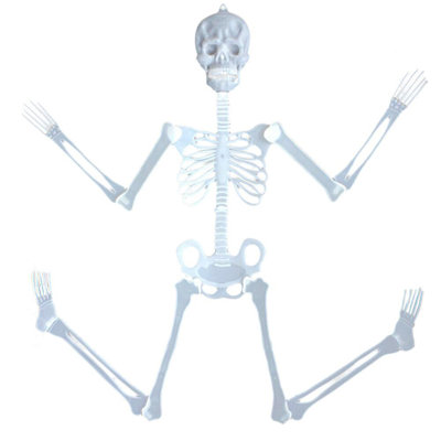 90cm Luminous Skull Skeleton Body Scary Halloween Toy Tricky Prop
