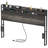 40.79"H Queen Headboard With Charging Station And Led Light