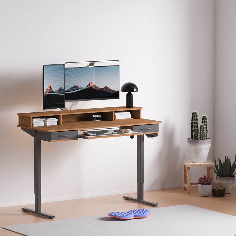 55" Inches Electric Standing Desk with Keyboard Tray, Height Adjustable Stand up Desk with 2 Drawers, Ergonomic Sit to Stand Desk with Storage Monitor Stand, Computer Table, Black Walnut